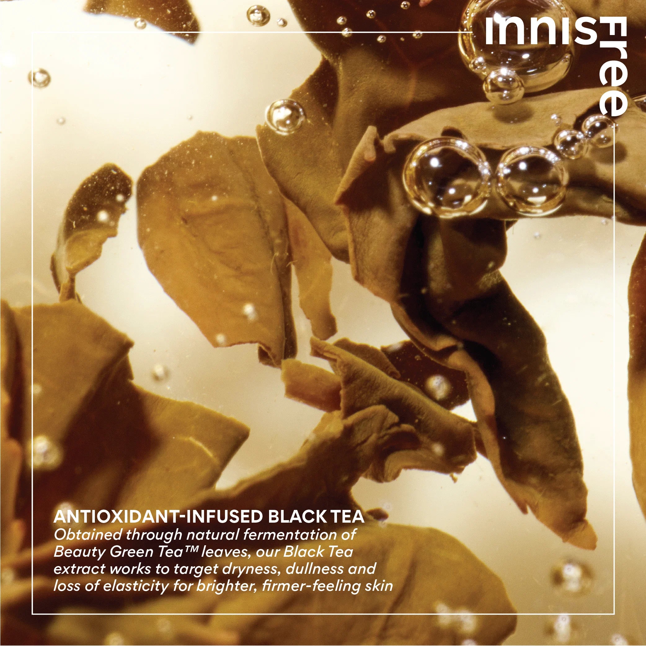 Innisfree – Black Tea Youth Enhancing Cream, 50ml