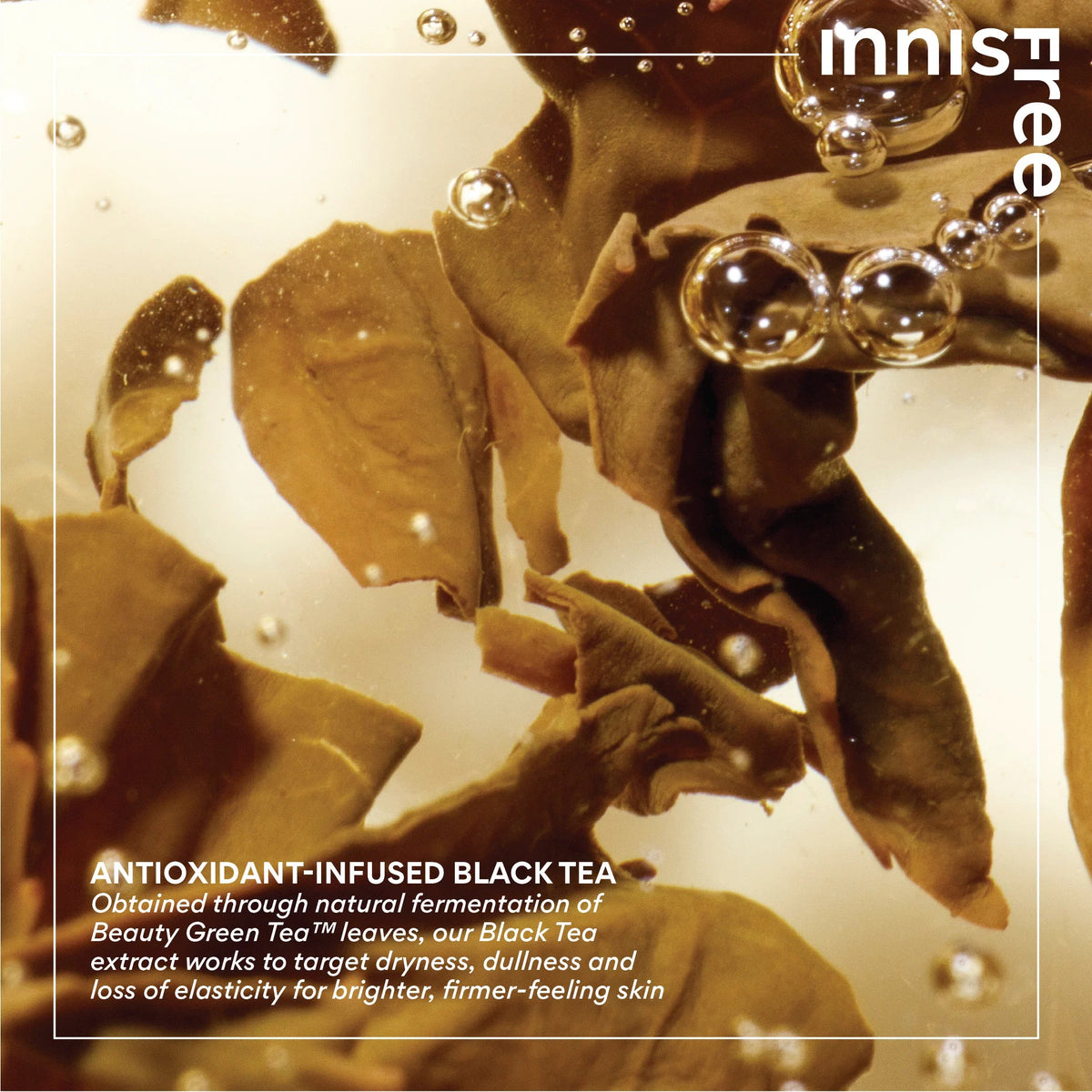 Innisfree – Black Tea Youth Enhancing Cream, 50ml – papildomas vaizdas 5